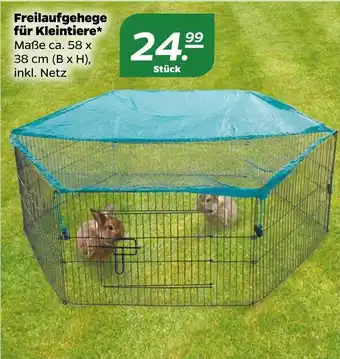 NETTO Freilaufgehege für kleintiere Angebot