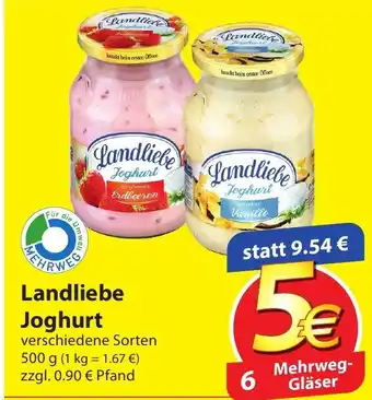 Famila Nord Ost Landliebe Joghurt 500g Angebot