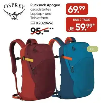 Galeria Osprey Rucksack Apogee Angebot