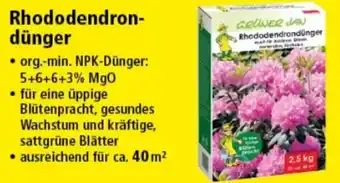 Thomas Philipps Grüner Jan Rhododendrondünger 2,5 kg Angebot