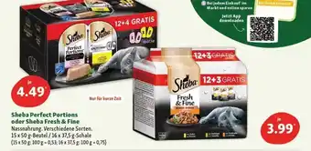 Fressnapf Sheba Perfect Portions Oder Sheba Fresh & Fine Angebot