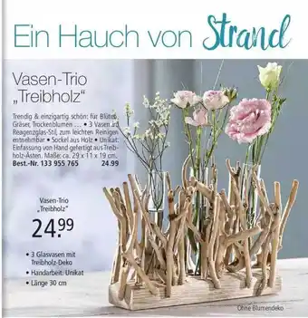 Weltbild Vasen-trio „treibholz” Angebot