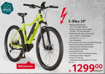 Selgros E-Bike 29" Angebot