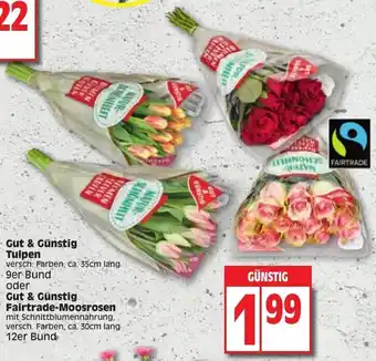 Edeka Gut & Gunstig Tulpen 9er Bund oder Gut & Gunstig Falrtrade-Moosrosen 12er Bund Angebot