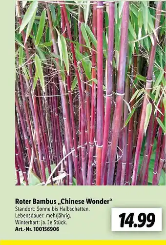 Lidl Roter Bambus Chinese Wonder Angebot