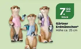 NETTO Gärtner Erdmännchen Angebot