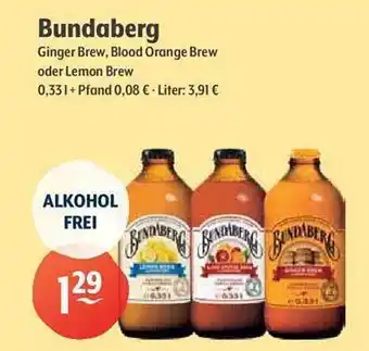 Getränke Hoffmann Bundaberg Ginger Brew, Blood Orange Brew Oder Lemon Brew Angebot