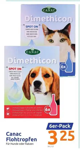 Action Canac Flohtropfen 6st Angebot