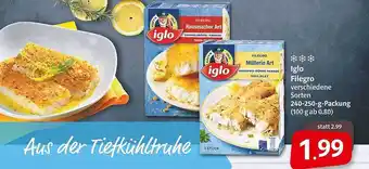 Markant Iglo Filegro Angebot