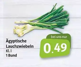 Markant Lauchzwiebeln 1 bund Angebot