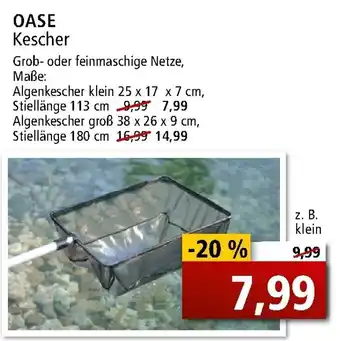 Zoo & Co Oase Kescher Angebot