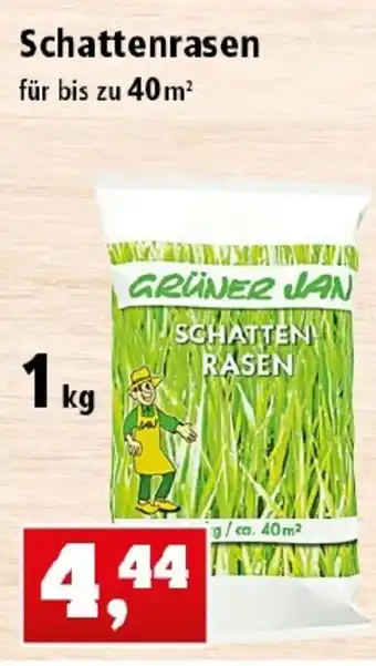 Thomas Philipps Schattenrasen 1kg Angebot