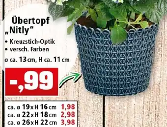 Thomas Philipps Übertopf ,,Nitly" Angebot