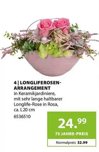 Dehner Longliferosen Arrangement Angebot