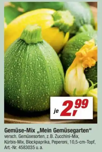 toom Baumarkt Gemüse Mix ,,Mein Gemüsegarten" Angebot