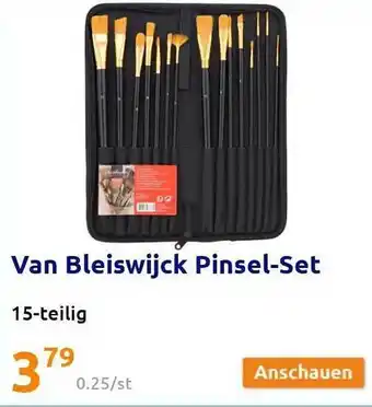 Action Van Bleiswijck Pinsel-set Angebot