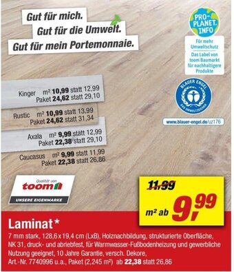 toom Baumarkt Laminat Angebot