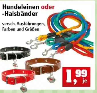 Thomas Philipps Hundeleinen oder Halsbänder Angebot