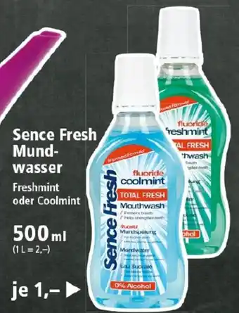 Thomas Philipps Sence Fresh Mundwasser 500ml Angebot