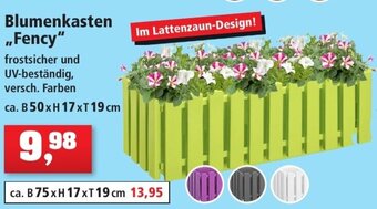 Thomas Philipps Blumenkasten ,,Fency" Angebot