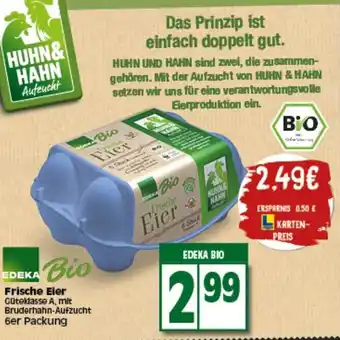 Elli Markt Edeka Bio Frische Eier Angebot