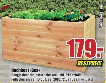 B1 Discount Baumarkt Hochbeet Bea Angebot