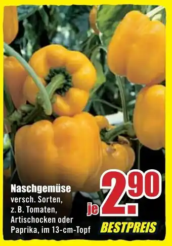 B1 Discount Baumarkt Naschgemüse Angebot