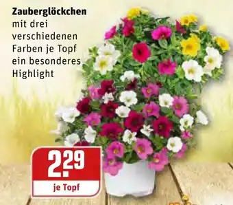 REWE Zauberglöckchen Angebot