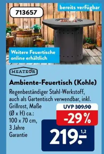 Aldi Süd Meateor Ambiente-Feuertisch (Kohle) Angebot