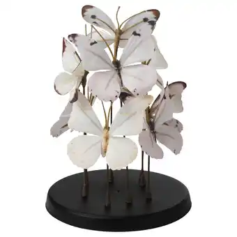 IKEA Själfull dekoration schmetterling Angebot