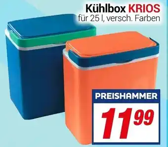 CENTERSHOP Kühlbox Krios Angebot