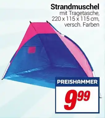 CENTERSHOP Strandmuschel Angebot