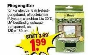 Repo Markt Fliegengitter Angebot