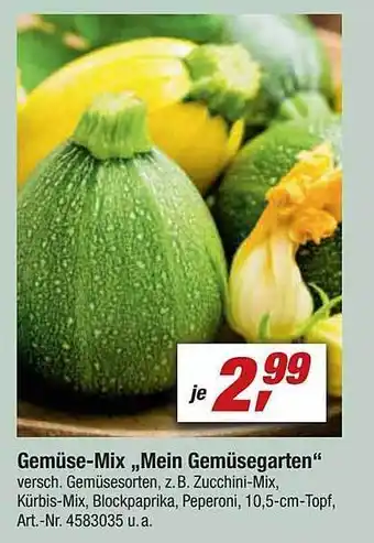 toom Baumarkt Gemüse-mix „mein Gemüsegarten“ Angebot