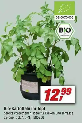 toom Baumarkt Bio-kartoffeln Im Topf Angebot