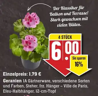 Edeka Neukauf Geranien Angebot