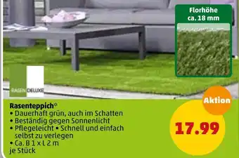 PENNY Rasenteppich Angebot