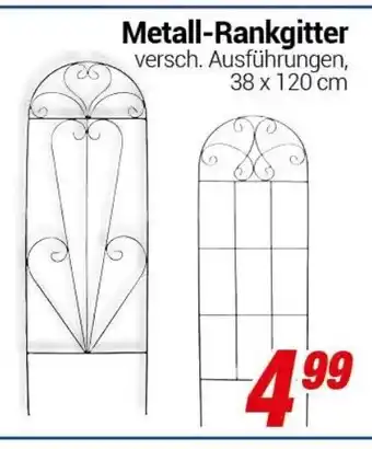 CENTERSHOP Metall Rankgitter Angebot