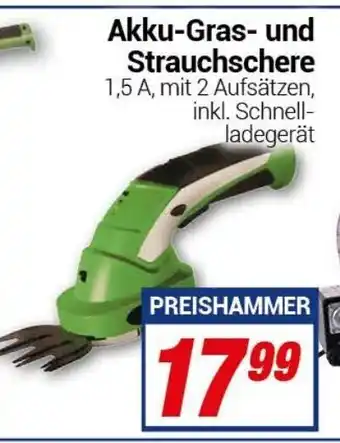 CENTERSHOP Akku Grass & Strauchschere Angebot