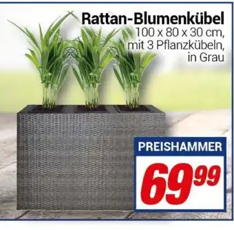 CENTERSHOP Rattan Blumenkübel Angebot