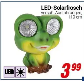 CENTERSHOP LED Solarfrosch Angebot