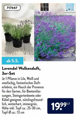 Aldi Nord Lavendel Wolkenduft 3er-set Angebot