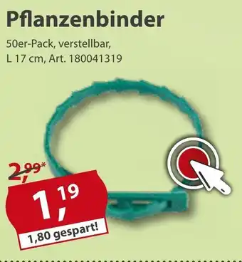 Sonderpreis Baumarkt Pflanzenbinder Angebot