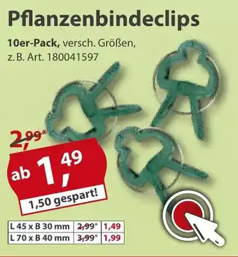 Sonderpreis Baumarkt Pflanzenbindeclips Angebot