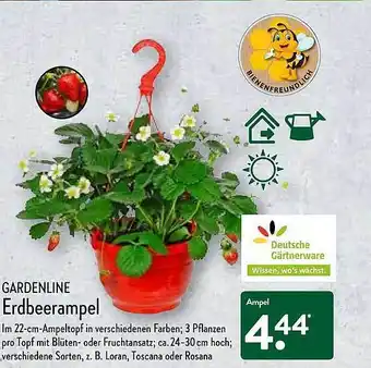 Aldi Nord Gardenline Erdbeerampel Angebot