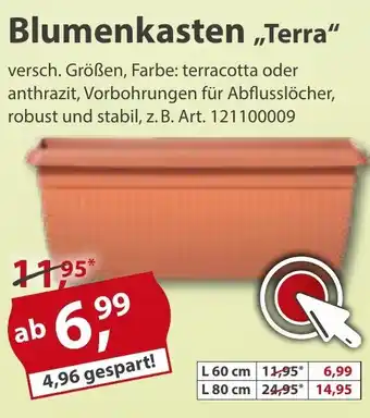 Sonderpreis Baumarkt Blumenkasten Terra Angebot