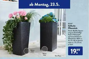 Aldi Süd Belavi Geflecht-pflanzsäule Angebot