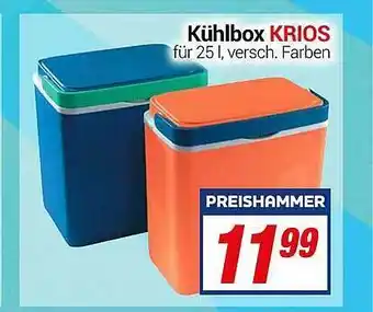 CENTERSHOP Kühlbox Krios Angebot