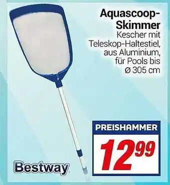 CENTERSHOP Aquascoop-skimmer Bestway Angebot