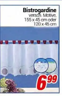 CENTERSHOP Bistrogardine Angebot